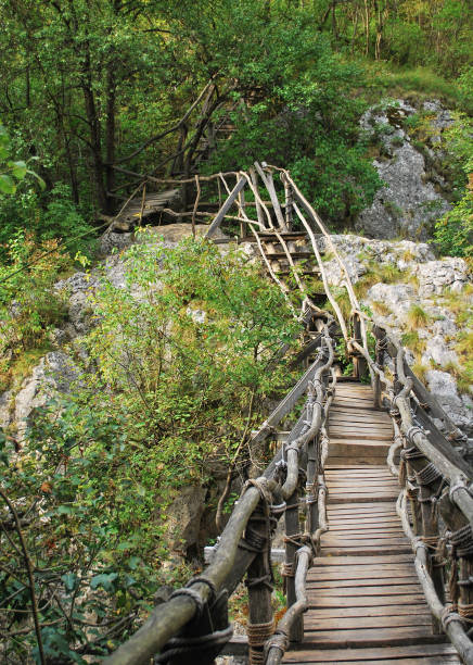 istock Wooden bridge over a mountain river 1166595780