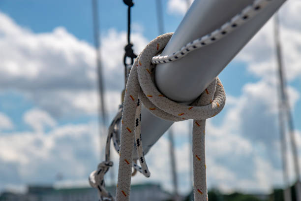 istock Hamburg in the summer 1166596150