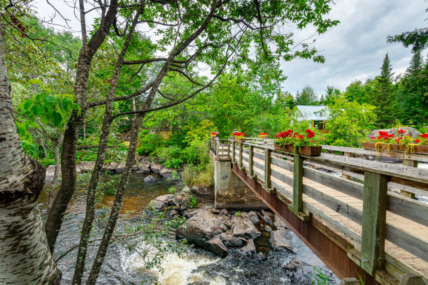 istock pedestrian lane bridge crossing the river 1166606561