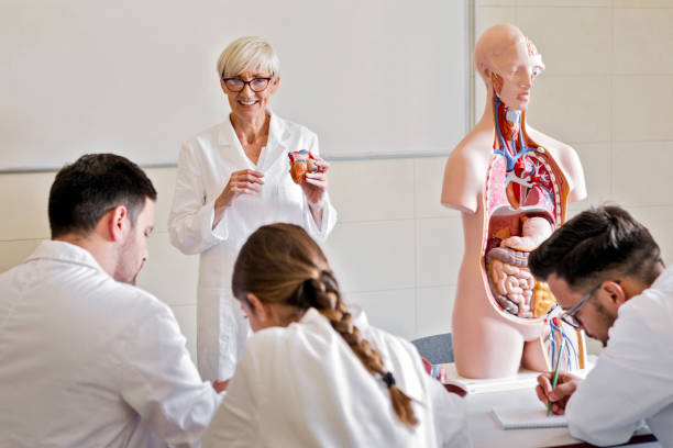 istock Students of medicine writing notes on a anatomy class 1166606739