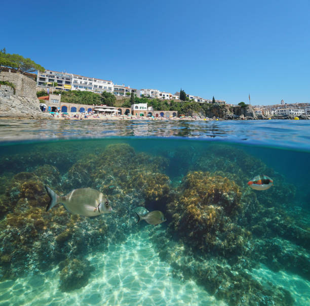 istock Spain Calella de Palafrugell coastline over under 1166607992