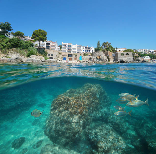istock Spain Calella de Palafrugell coastline with fish 1166608012