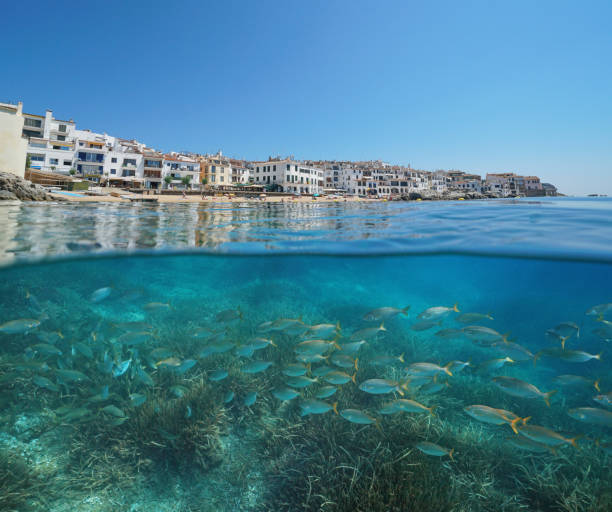 istock Spain Calella de Palafrugell village fish school 1166611583