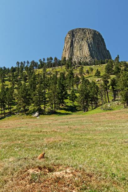 istock Devils Tower National Monument in Wyoming with prairie dog 1166612038