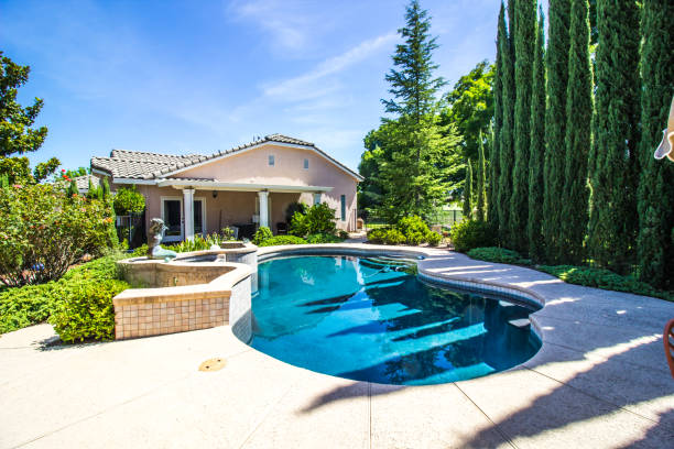 istock Free Form Swimming Pool And Cypress Trees In Rear Yard 1166613580