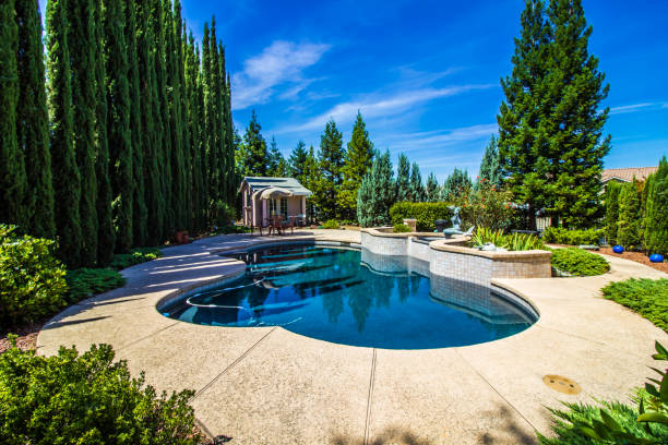 private rear yard with swimming pool and pool house - cypress tree fotos imagens e fotografias de stock