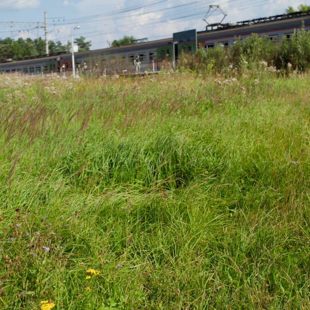 istock train arriving on the railway station 1166614006