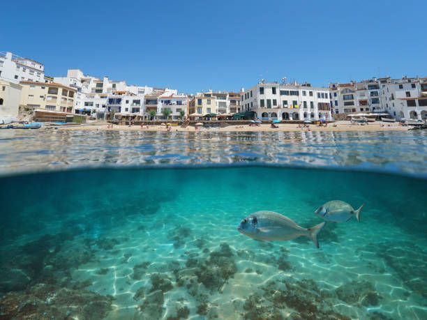istock Spain coastal village beach with fish underwater 1166614865