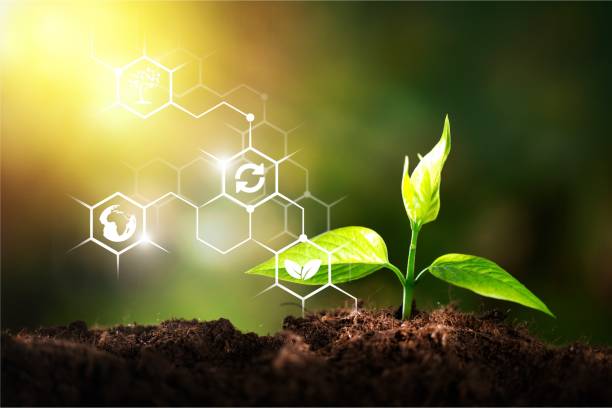 holanda busca no Brasil tecnologia de bioinsumos holanda busca no Brasil tecnologia de bioinsumos