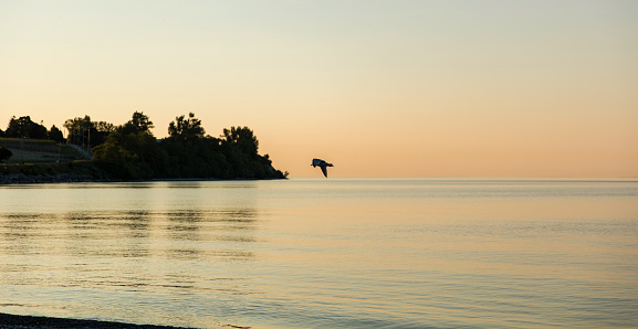 Quiet scenery on Lake Ontario