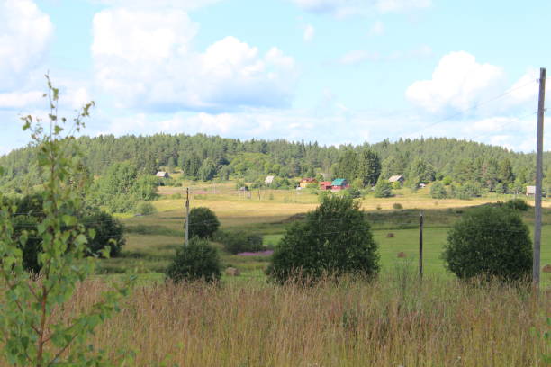 istock Russian countryside scene with hills and fields 1166617465