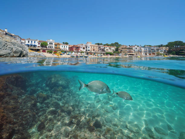 istock Spain coastline village with fish underwater 1166618469