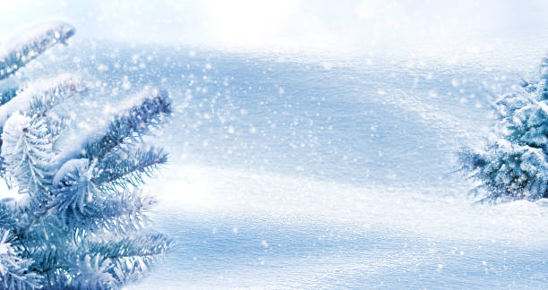 istock Winter natural background. Christmas trees in the forest. Snowing. Copy space. 1166618746