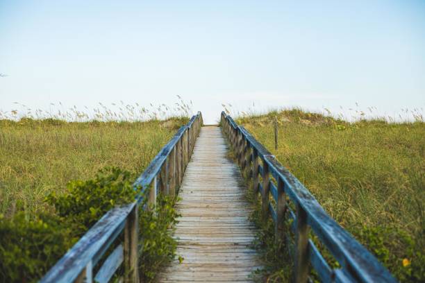 istock A walkway to the beach 1166618870