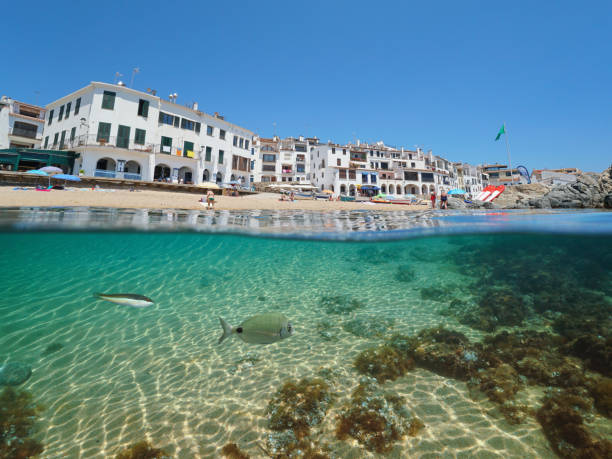 istock Spain Mediterranean village beach fish underwater 1166620473