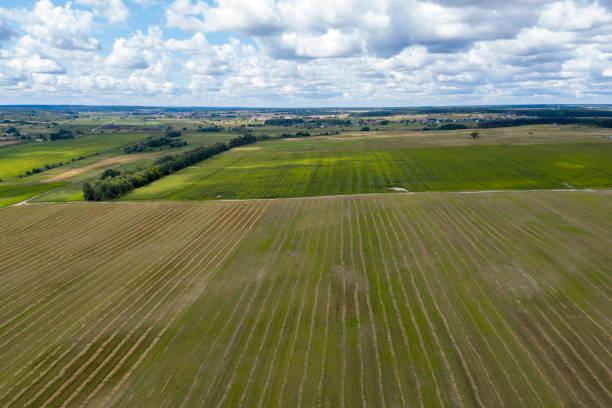 istock farm field, view from above 1166620806