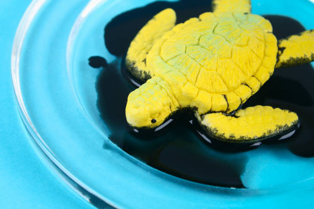 istock Turtle in oil. pollution in ocean environmental problem. Ecological situation world earth 1166621573