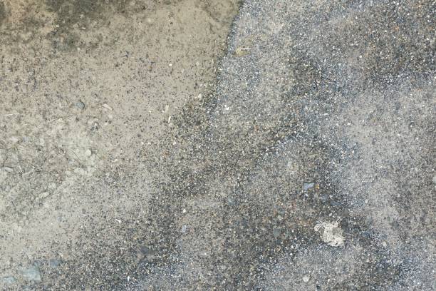 istock dry soil in nature garden 1166622150