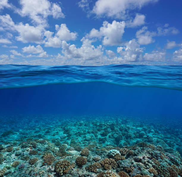 istock Underwater coral reef seabed with sky and cloud 1166623689