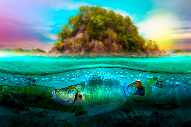 istock Plastic pollution in marine environmental problems Animals in the sea cannot live. And cause plastic pollution in the ocean (Environmental concept) 1166624278