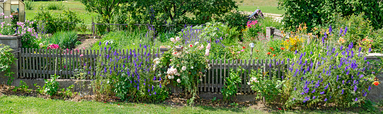 fenced flourishing farmers garden in the region Waldviertel in summer, Austria