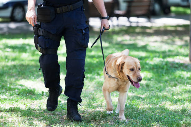 istock Policeman with police dog on duty 1166626235