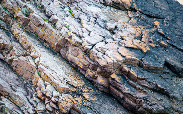istock On the coast of Brittany 1166633072