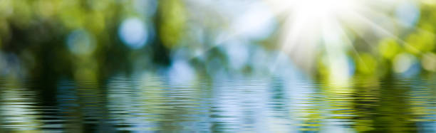 istock blurred image of natural background from water and plants 1166634484