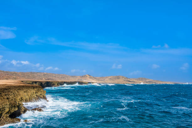 istock Aruba, north-east coast 1166634496