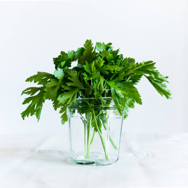 istock Fresh Parsley in a Glass on white Background 1166635197