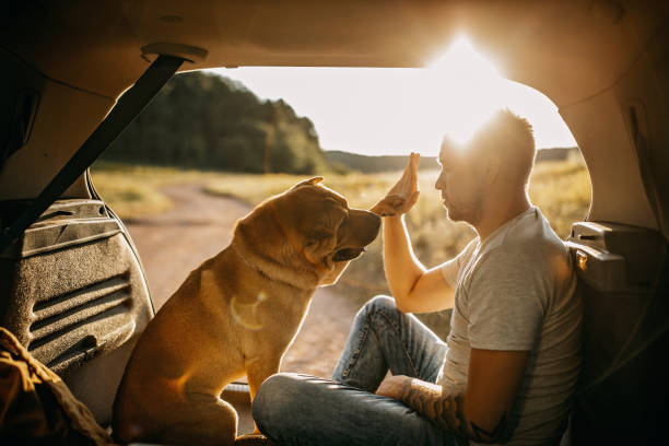 istock Spending day with dog in nature 1166637624