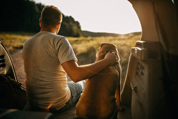 istock Spending day with dog in nature 1166637625
