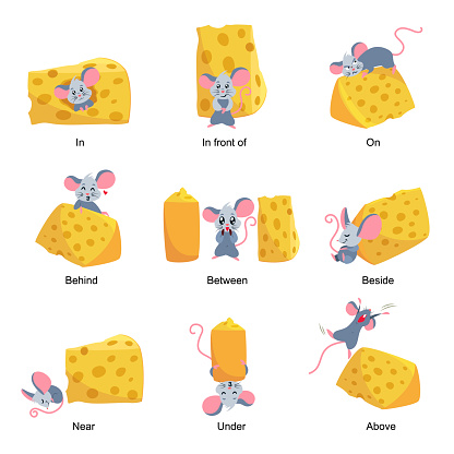 English language preposition set, educational activity with mouse. Vector flat style cartoon illustration isolated on white background