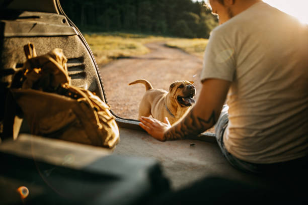 istock Spending day with dog in nature 1166637767