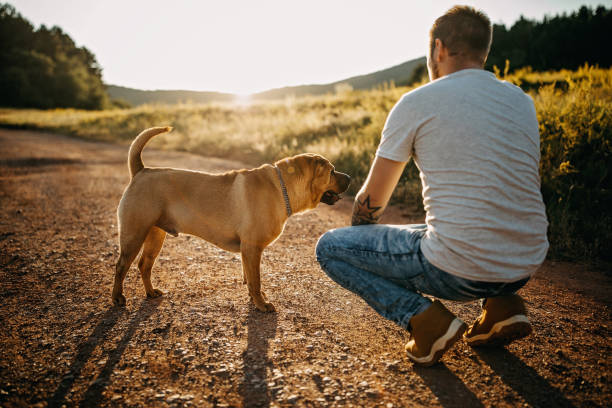 istock Spending day with dog in nature 1166637772