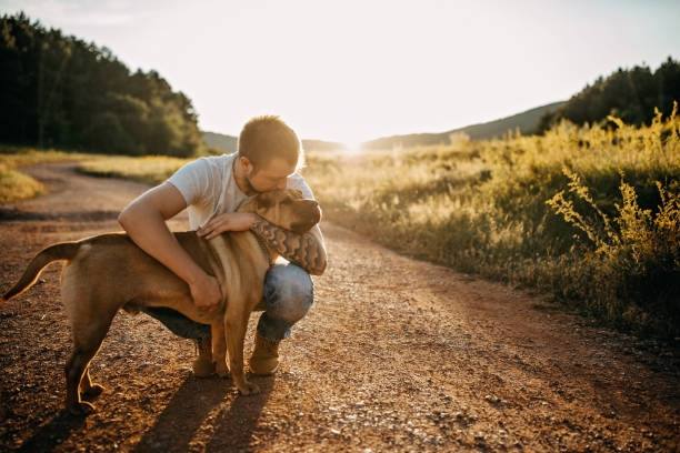 trascorrere la giornata con il cane in natura - 2971 foto e immagini stock