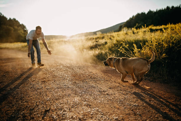 istock Spending day with dog in nature 1166638053