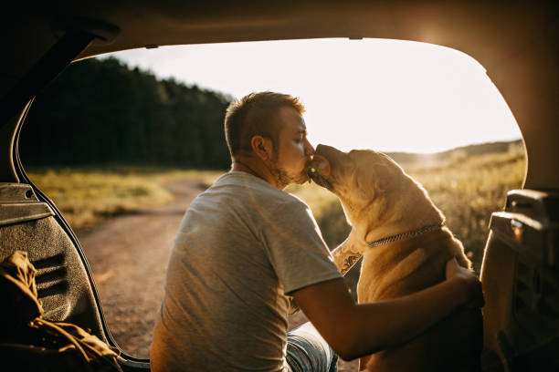 istock Spending day with dog in nature 1166638096