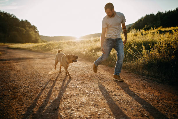 istock Spending day with dog in nature 1166638123