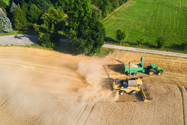 istock Harvesters harvests wheat on a field - Aerial View 1166638151