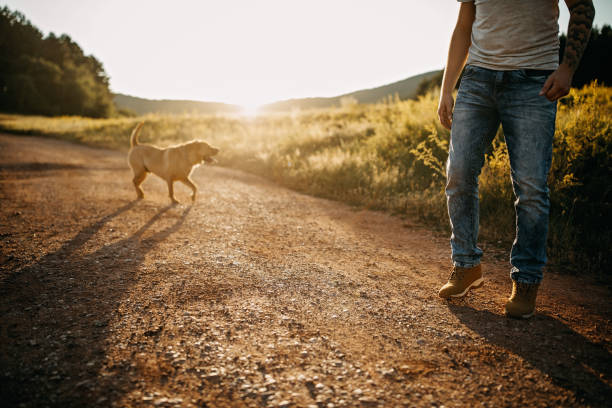 istock Spending day with dog in nature 1166638228