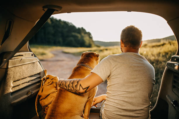 istock Spending day with dog in nature 1166638293