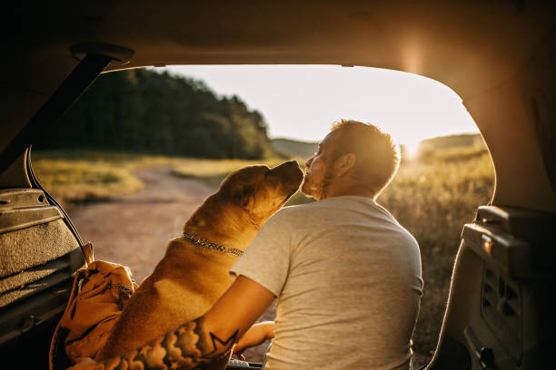 自然の中で犬と一緒に一日を過ごす - dog kiss ストックフォトと画像