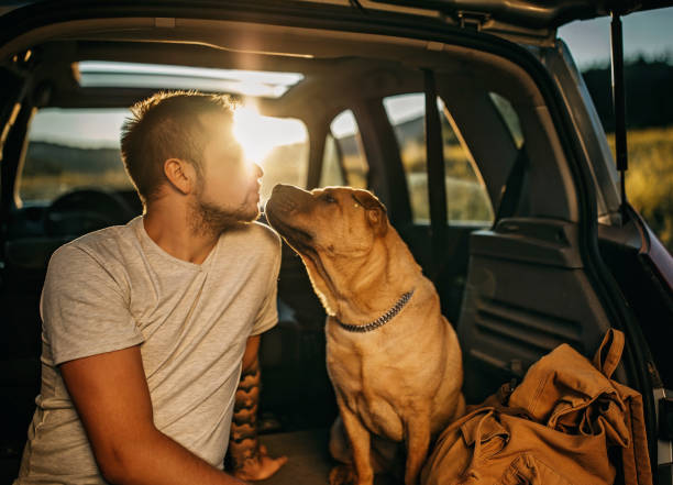 istock Spending day with dog in nature 1166639013