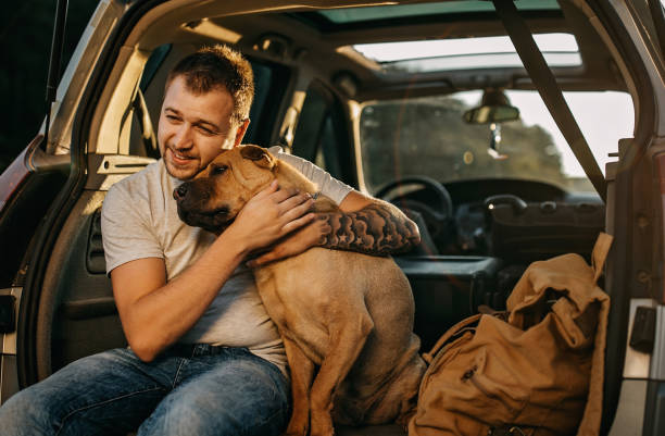 istock Spending day with dog in nature 1166639183