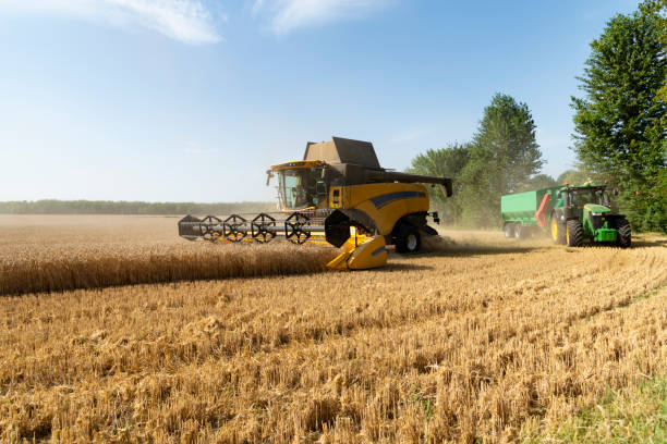 istock Harvesters harvests wheat on a field 1166639337