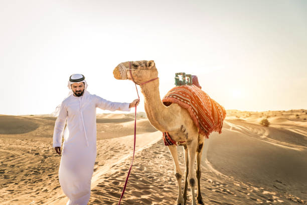 砂漠でラクダを持つアラビア人 - united arab emirates middle eastern ethnicity men camel ストックフォトと画像