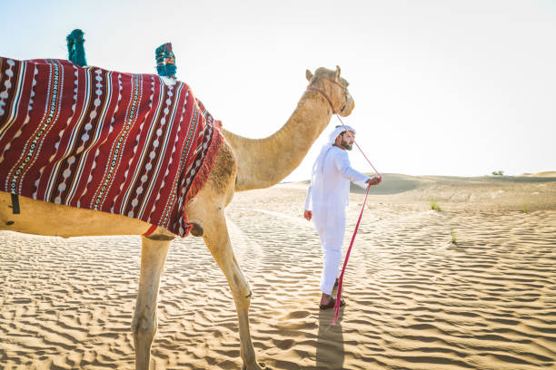 istock Arabian man with camel in the desert 1166639612