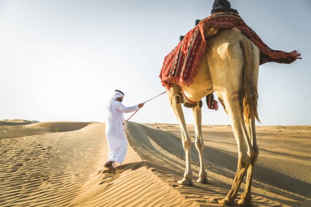 istock Arabian man with camel in the desert 1166639695