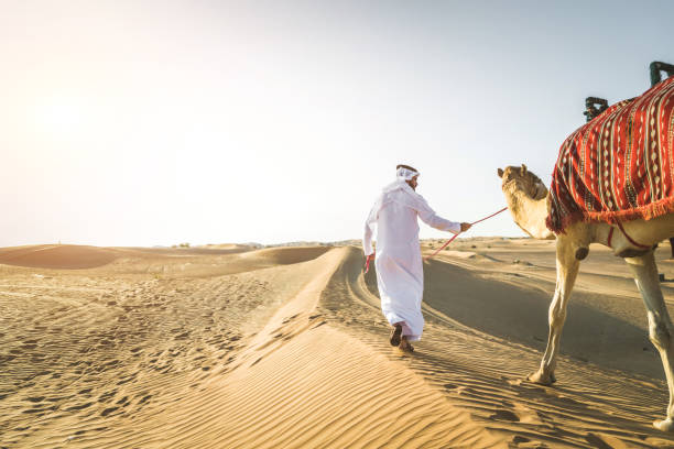 砂漠でラクダを持つアラビア人 - united arab emirates middle eastern ethnicity men camel ストックフォトと画像